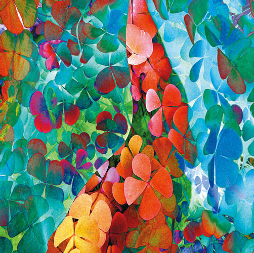 Compatible Floral for JAHRRIESNGE flowers-lpf06742 Compatible Floral JAHRRIESNGE for flowers-lpf06742