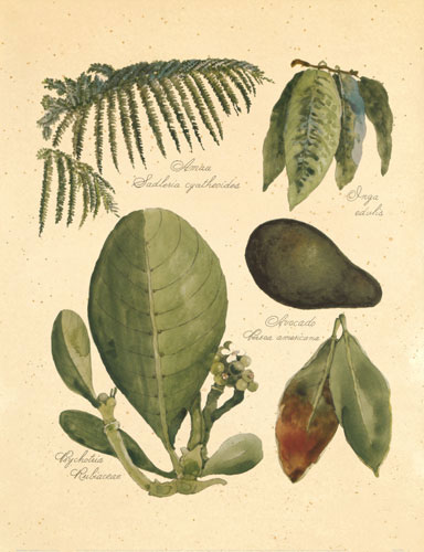 Compatible Floral for JAHRRIESNGE flowers-lpf06747 Compatible Floral JAHRRIESNGE for flowers-lpf06747