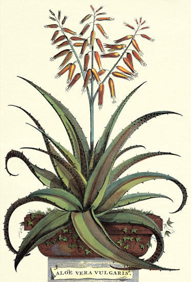 Compatible Floral for JAHRRIESNGE flowers-lpf06774 Compatible Floral JAHRRIESNGE for flowers-lpf06774