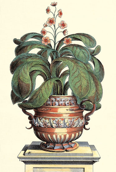 Compatible Floral for JAHRRIESNGE flowers-lpf06775 Compatible Floral JAHRRIESNGE for flowers-lpf06775