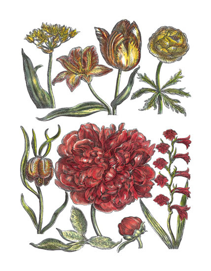 Compatible Floral for JAHRRIESNGE flowers-lpf06779 Compatible Floral JAHRRIESNGE for flowers-lpf06779