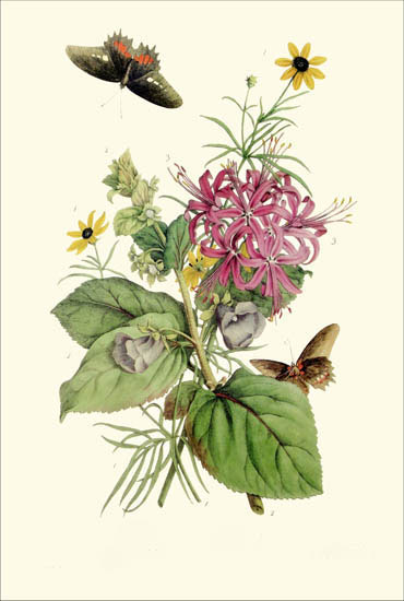 Compatible Floral for JAHRRIESNGE flowers-lpf06786 Compatible Floral JAHRRIESNGE for flowers-lpf06786