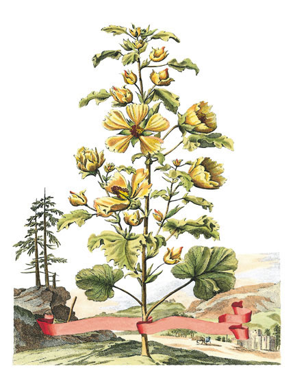 Compatible Floral for JAHRRIESNGE flowers-lpf06788 Compatible Floral JAHRRIESNGE for flowers-lpf06788