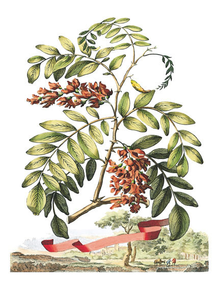 Compatible Floral for JAHRRIESNGE flowers-lpf06791 Compatible Floral JAHRRIESNGE for flowers-lpf06791