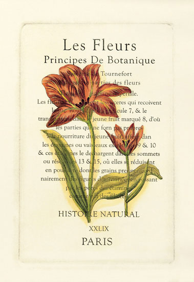 Compatible Floral for JAHRRIESNGE flowers-lpf06793 Compatible Floral JAHRRIESNGE for flowers-lpf06793