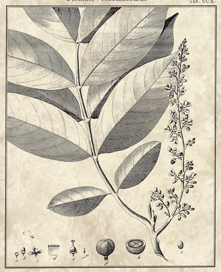 Compatible Floral for JAHRRIESNGE flowers-lpf06798 Compatible Floral JAHRRIESNGE for flowers-lpf06798