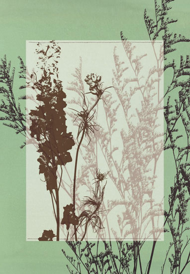 Compatible Floral for JAHRRIESNGE flowers-lpf06813 Compatible Floral JAHRRIESNGE for flowers-lpf06813