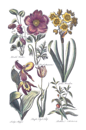 Compatible Floral for JAHRRIESNGE flowers-lpf06818 Compatible Floral JAHRRIESNGE for flowers-lpf06818