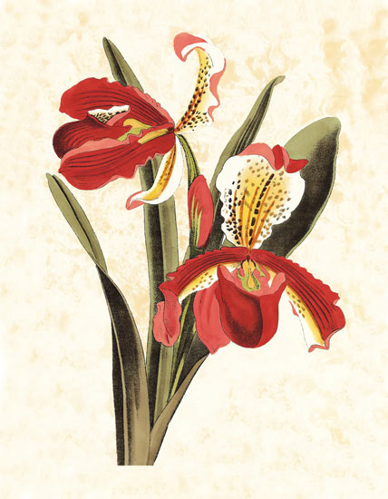 Compatible Floral for JAHRRIESNGE flowers-lpf06829 Compatible Floral JAHRRIESNGE for flowers-lpf06829