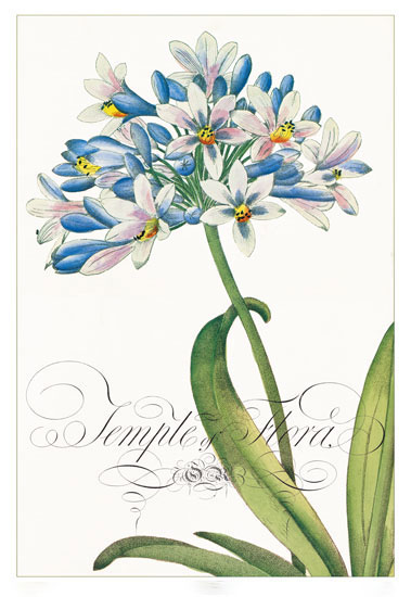 Compatible Floral for JAHRRIESNGE flowers-lpf06833 Compatible Floral JAHRRIESNGE for flowers-lpf06833