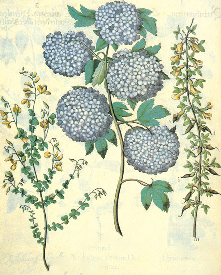 Compatible Floral for JAHRRIESNGE flowers-lpf06844 Compatible Floral JAHRRIESNGE for flowers-lpf06844