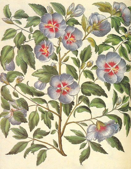 Compatible Floral for JAHRRIESNGE flowers-lpf06845 Compatible Floral JAHRRIESNGE for flowers-lpf06845