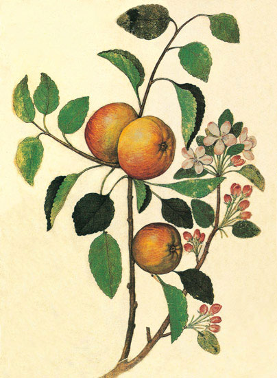 Compatible Floral for JAHRRIESNGE flowers-lpf06846 Compatible Floral JAHRRIESNGE for flowers-lpf06846