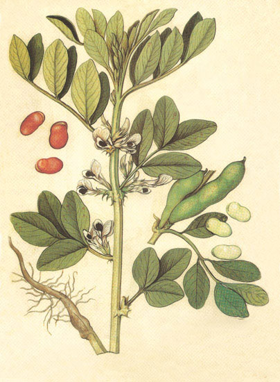 Compatible Floral for JAHRRIESNGE flowers-lpf06849 Compatible Floral JAHRRIESNGE for flowers-lpf06849