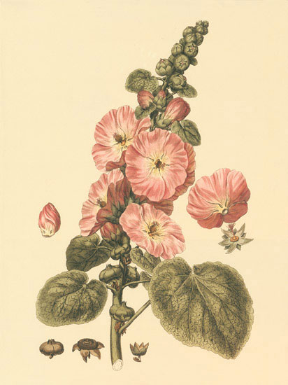 Compatible Floral for JAHRRIESNGE flowers-lpf06851 Compatible Floral JAHRRIESNGE for flowers-lpf06851