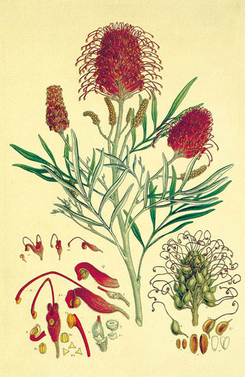 Compatible Floral for JAHRRIESNGE flowers-lpf06868 Compatible Floral JAHRRIESNGE for flowers-lpf06868