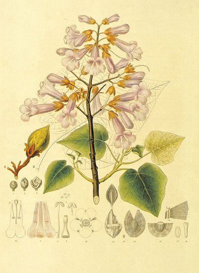 Compatible Floral for JAHRRIESNGE flowers-lpf06873 Compatible Floral JAHRRIESNGE for flowers-lpf06873