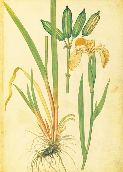 Compatible Floral for JAHRRIESNGE flowers-lpf06885 Compatible Floral JAHRRIESNGE for flowers-lpf06885