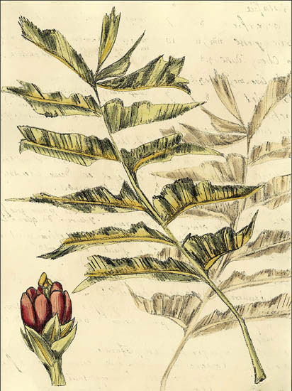 Compatible Floral for JAHRRIESNGE flowers-lpf06910 Compatible Floral JAHRRIESNGE for flowers-lpf06910