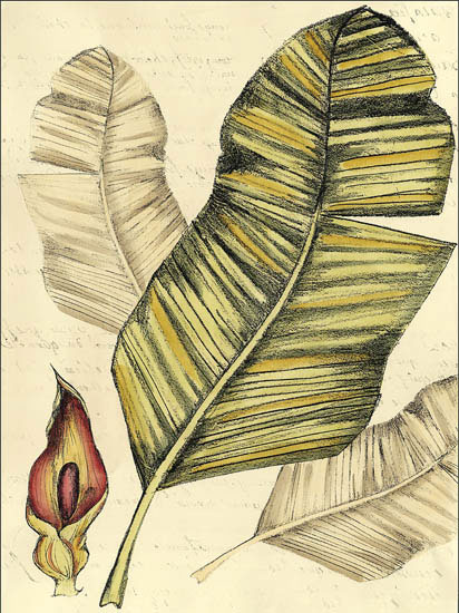 Compatible Floral for JAHRRIESNGE flowers-lpf06911 Compatible Floral JAHRRIESNGE for flowers-lpf06911