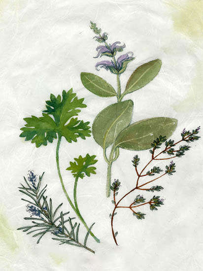 Compatible Floral for JAHRRIESNGE flowers-lpf06914 Compatible Floral JAHRRIESNGE for flowers-lpf06914