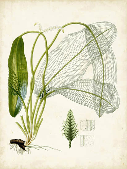 Compatible Floral for JAHRRIESNGE flowers-lpf06918 Compatible Floral JAHRRIESNGE for flowers-lpf06918