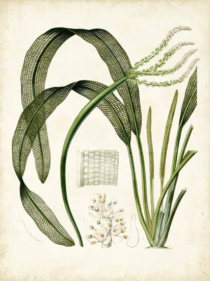 Compatible Floral for JAHRRIESNGE flowers-lpf06919 Compatible Floral JAHRRIESNGE for flowers-lpf06919