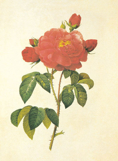 Compatible Floral for JAHRRIESNGE flowers-lpf06950 Compatible Floral JAHRRIESNGE for flowers-lpf06950