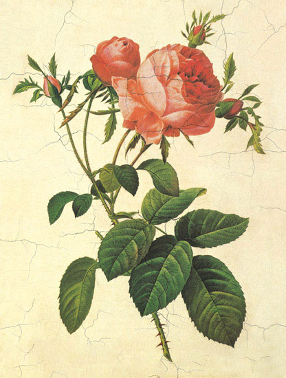 Compatible Floral for JAHRRIESNGE flowers-lpf06951 Compatible Floral JAHRRIESNGE for flowers-lpf06951