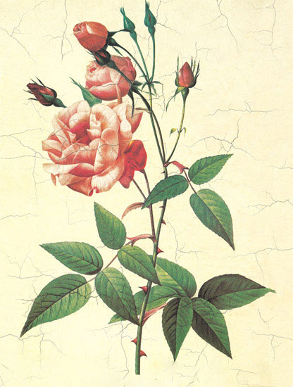 Compatible Floral for JAHRRIESNGE flowers-lpf06952 Compatible Floral JAHRRIESNGE for flowers-lpf06952