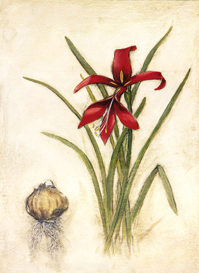 Compatible Floral for JAHRRIESNGE flowers-lpf06963 Compatible Floral JAHRRIESNGE for flowers-lpf06963