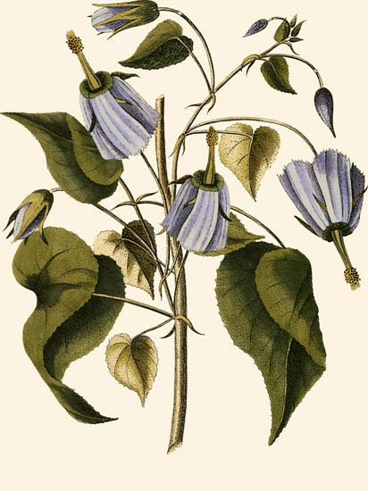 Compatible Floral for JAHRRIESNGE flowers-lpf06995 Compatible Floral JAHRRIESNGE for flowers-lpf06995