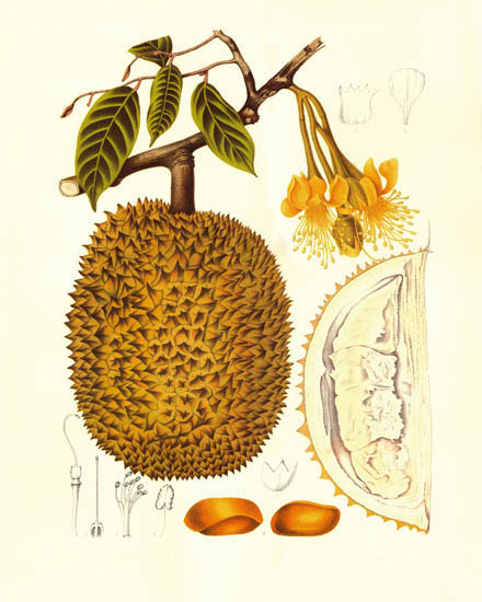 Compatible Floral for JAHRRIESNGE flowers-lpf07029 Compatible Floral JAHRRIESNGE for flowers-lpf07029