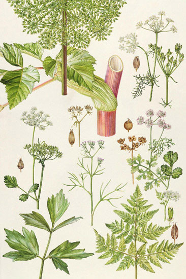 Compatible Floral for JAHRRIESNGE flowers-lpf07032 Compatible Floral JAHRRIESNGE for flowers-lpf07032