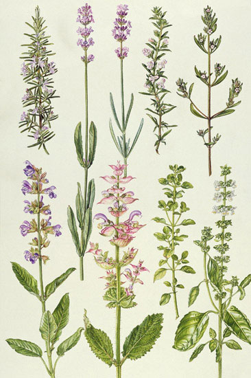 Compatible Floral for JAHRRIESNGE flowers-lpf07035 Compatible Floral JAHRRIESNGE for flowers-lpf07035