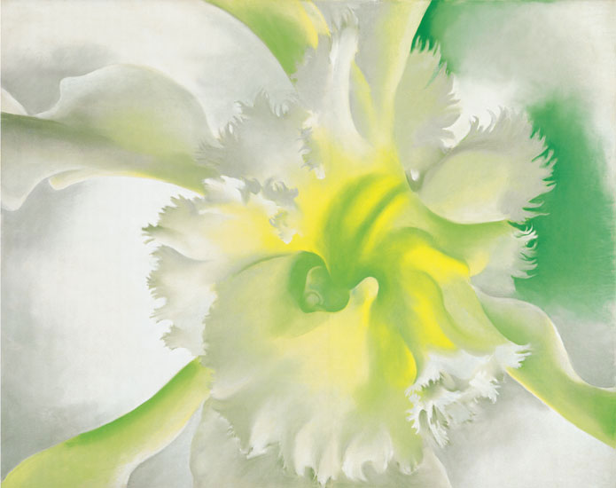 Compatible Floral for JAHRRIESNGE flowers-lpf07059 Compatible Floral JAHRRIESNGE for flowers-lpf07059