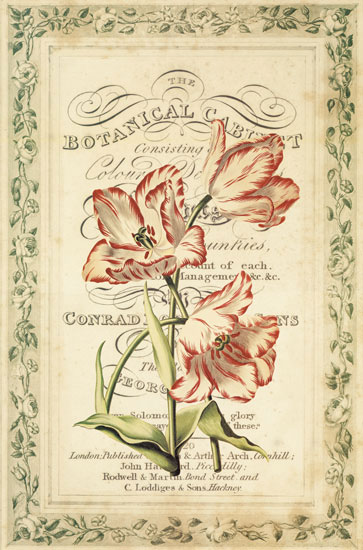 Compatible Floral for JAHRRIESNGE flowers-lpf07086 Compatible Floral JAHRRIESNGE for flowers-lpf07086