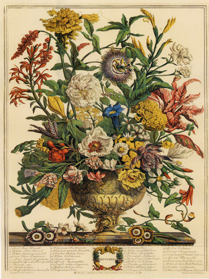 Compatible Floral for JAHRRIESNGE flowers-lpf07094 Compatible Floral JAHRRIESNGE for flowers-lpf07094