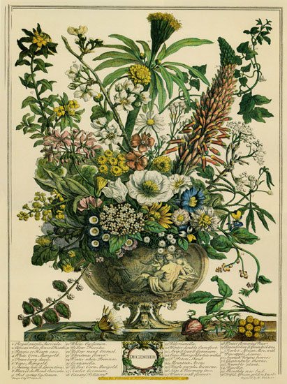 Compatible Floral for JAHRRIESNGE flowers-lpf07097 Compatible Floral JAHRRIESNGE for flowers-lpf07097