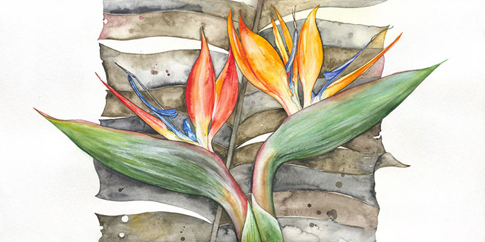 Compatible Floral for JAHRRIESNGE flowers-lpf07105 Compatible Floral JAHRRIESNGE for flowers-lpf07105