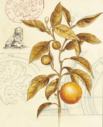 Compatible Floral for JAHRRIESNGE flowers-lpf07185 Compatible Floral JAHRRIESNGE for flowers-lpf07185