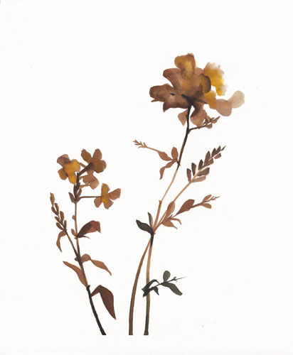 Compatible Floral for JAHRRIESNGE flowers-lpf07210 Compatible Floral JAHRRIESNGE for flowers-lpf07210