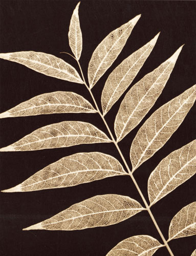 Compatible Floral for JAHRRIESNGE flowers-lpf07227 Compatible Floral JAHRRIESNGE for flowers-lpf07227