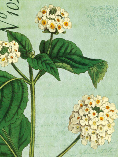 Compatible Floral for JAHRRIESNGE flowers-lpf07269 Compatible Floral JAHRRIESNGE for flowers-lpf07269