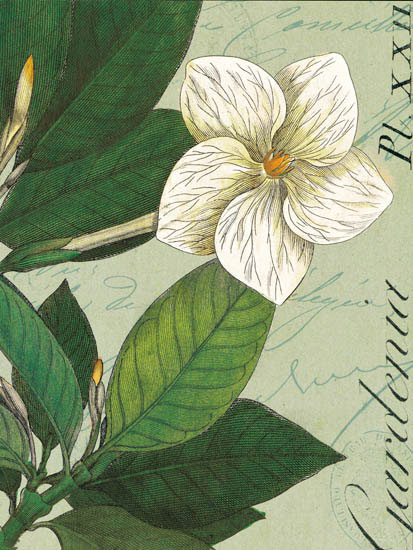 Compatible Floral for JAHRRIESNGE flowers-lpf07270 Compatible Floral JAHRRIESNGE for flowers-lpf07270