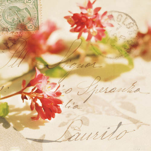 Compatible Floral for JAHRRIESNGE flowers-lpf07388 Compatible Floral JAHRRIESNGE for flowers-lpf07388