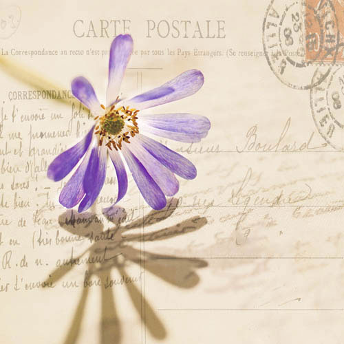 Compatible Floral for JAHRRIESNGE flowers-lpf07389 Compatible Floral JAHRRIESNGE for flowers-lpf07389