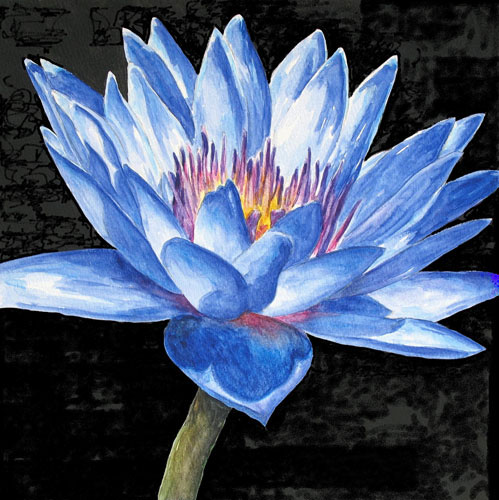 Compatible Floral for JAHRRIESNGE flowers-lpf07520 Compatible Floral JAHRRIESNGE for flowers-lpf07520