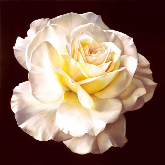 Compatible Floral for JAHRRIESNGE flowers-lpf07540 Compatible Floral JAHRRIESNGE for flowers-lpf07540