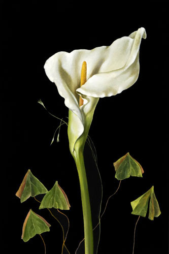 Compatible Floral for JAHRRIESNGE flowers-lpf07573 Compatible Floral JAHRRIESNGE for flowers-lpf07573